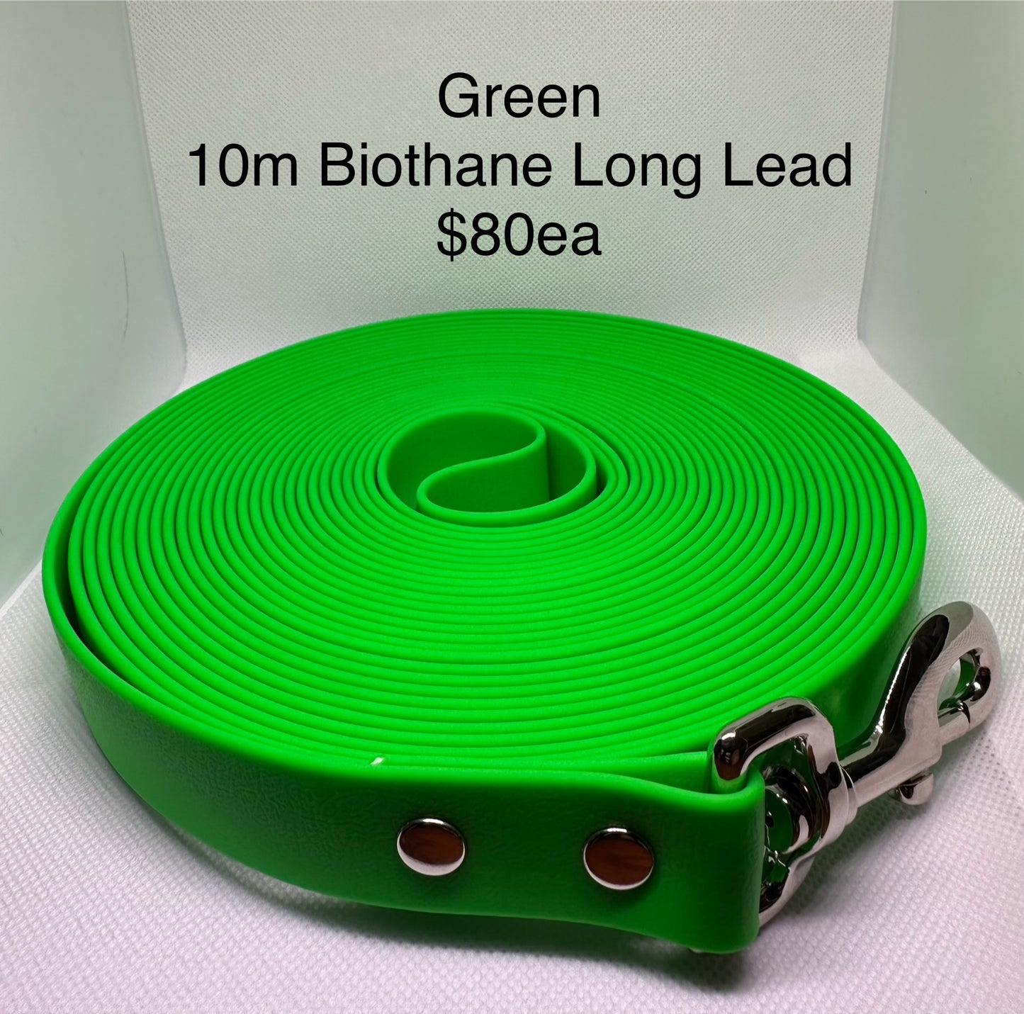 Biothane Long Lead: 10m