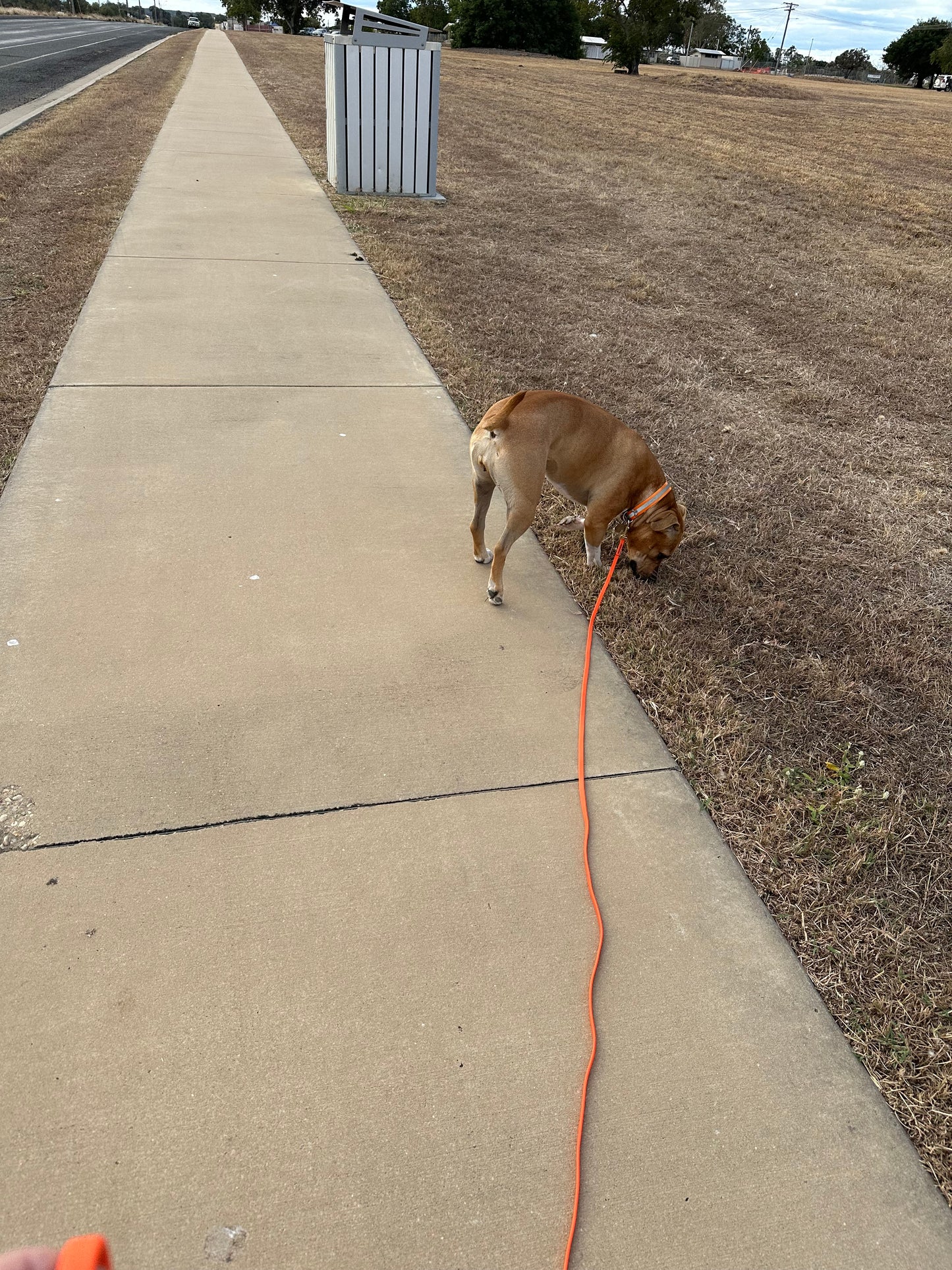 Thin long lead: 3m