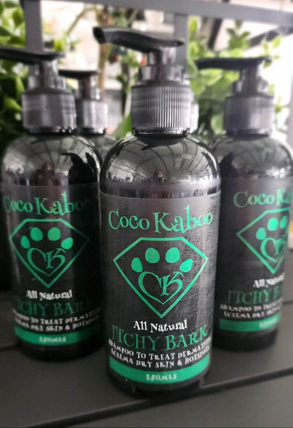Coco Kaboo Shampoo: Itchy Bark