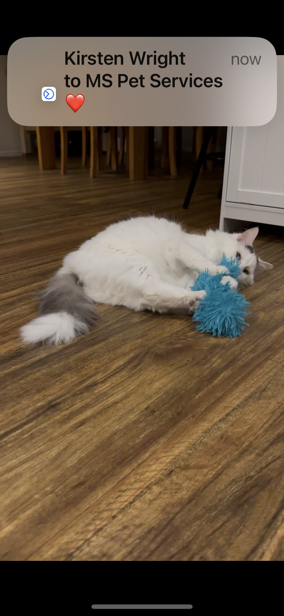 Fluffy Kitty Kicker