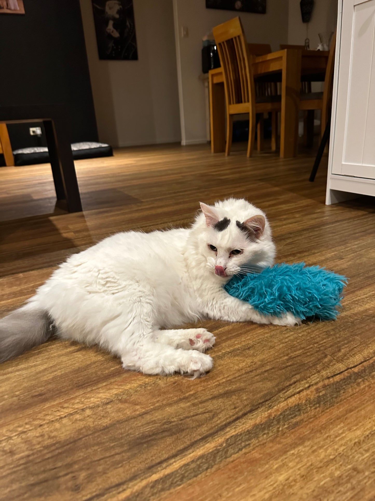 Fluffy Kitty Kicker