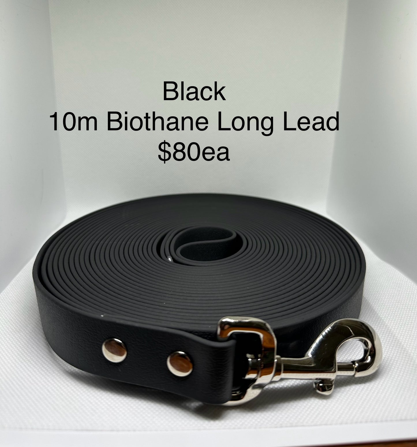 Biothane Long Lead: 10m
