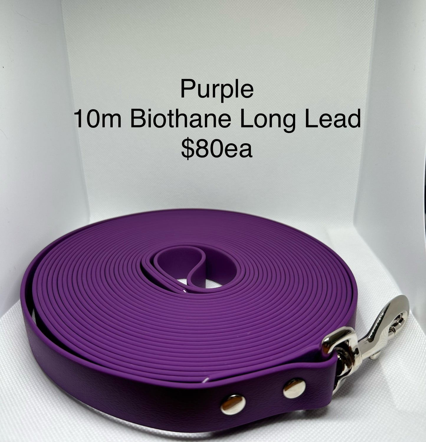 Biothane Long Lead: 10m