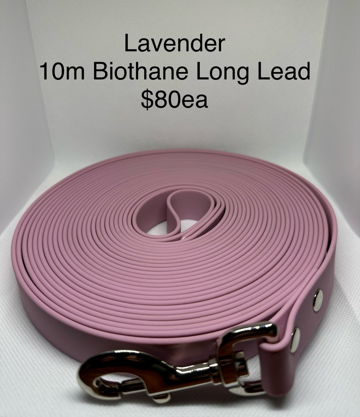 Biothane Long Lead: 10m