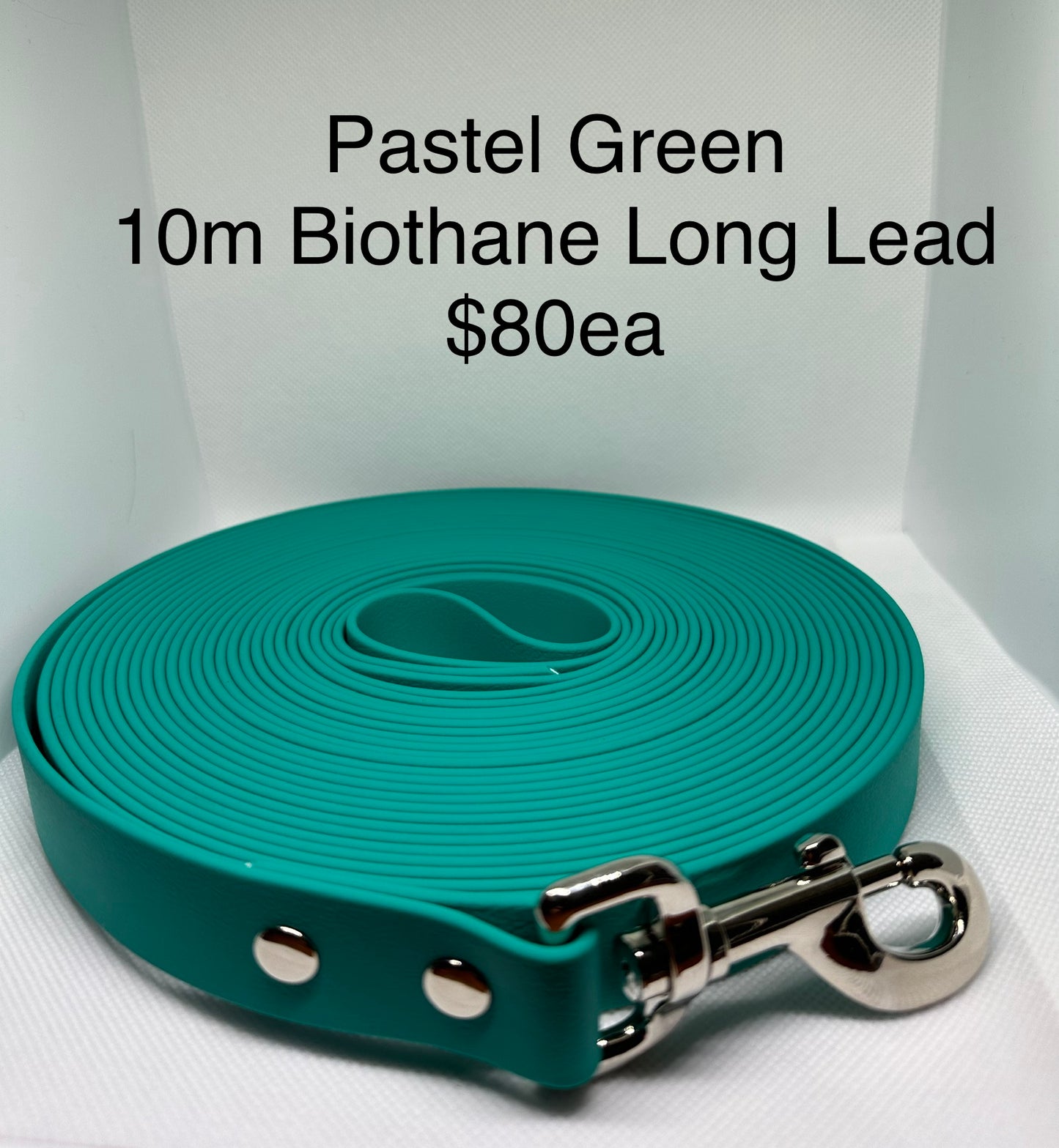Biothane Long Lead: 10m