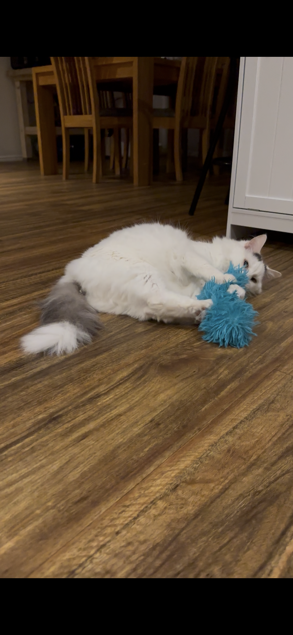 Fluffy Kitty Kicker