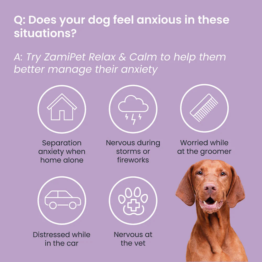ZamiPet - Relax and Calm Chews