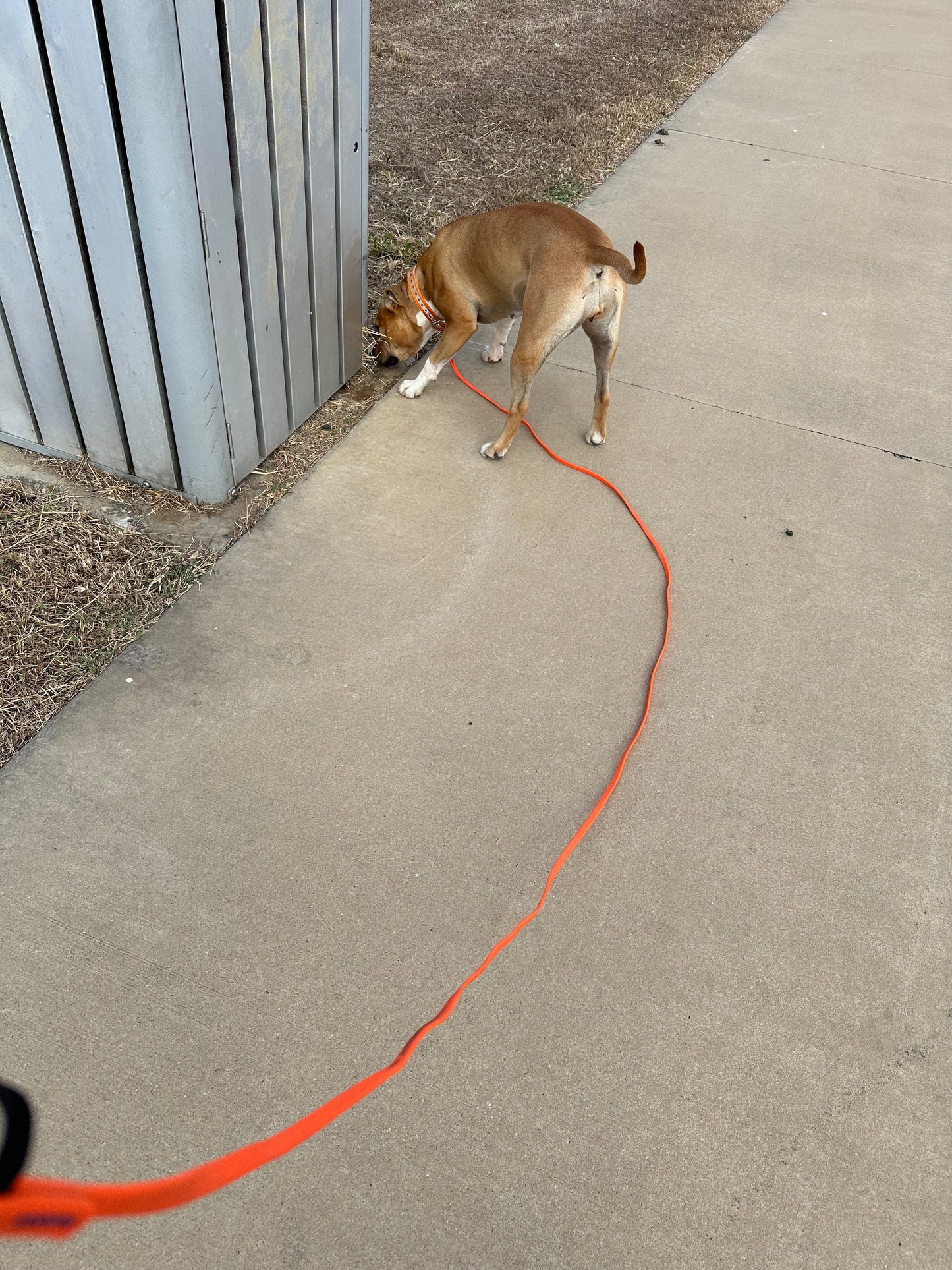 Thin long lead: 3m