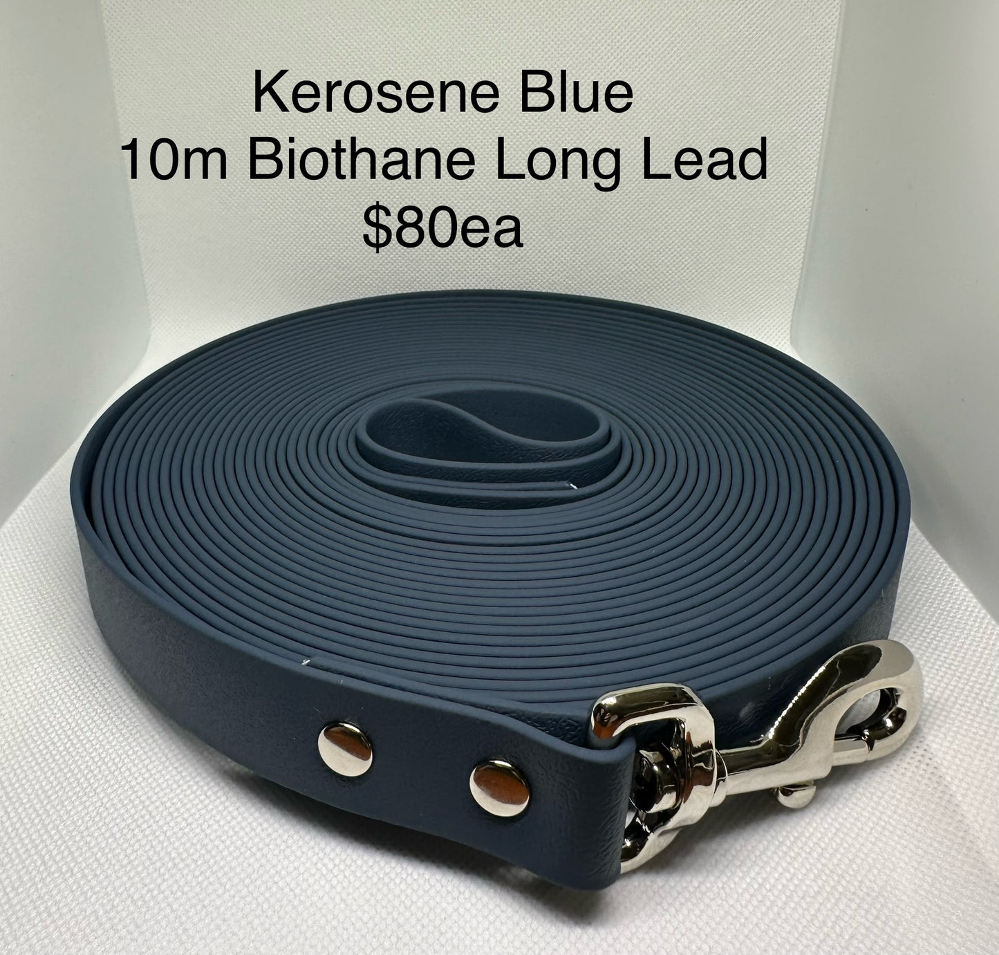 Biothane Long Lead: 10m