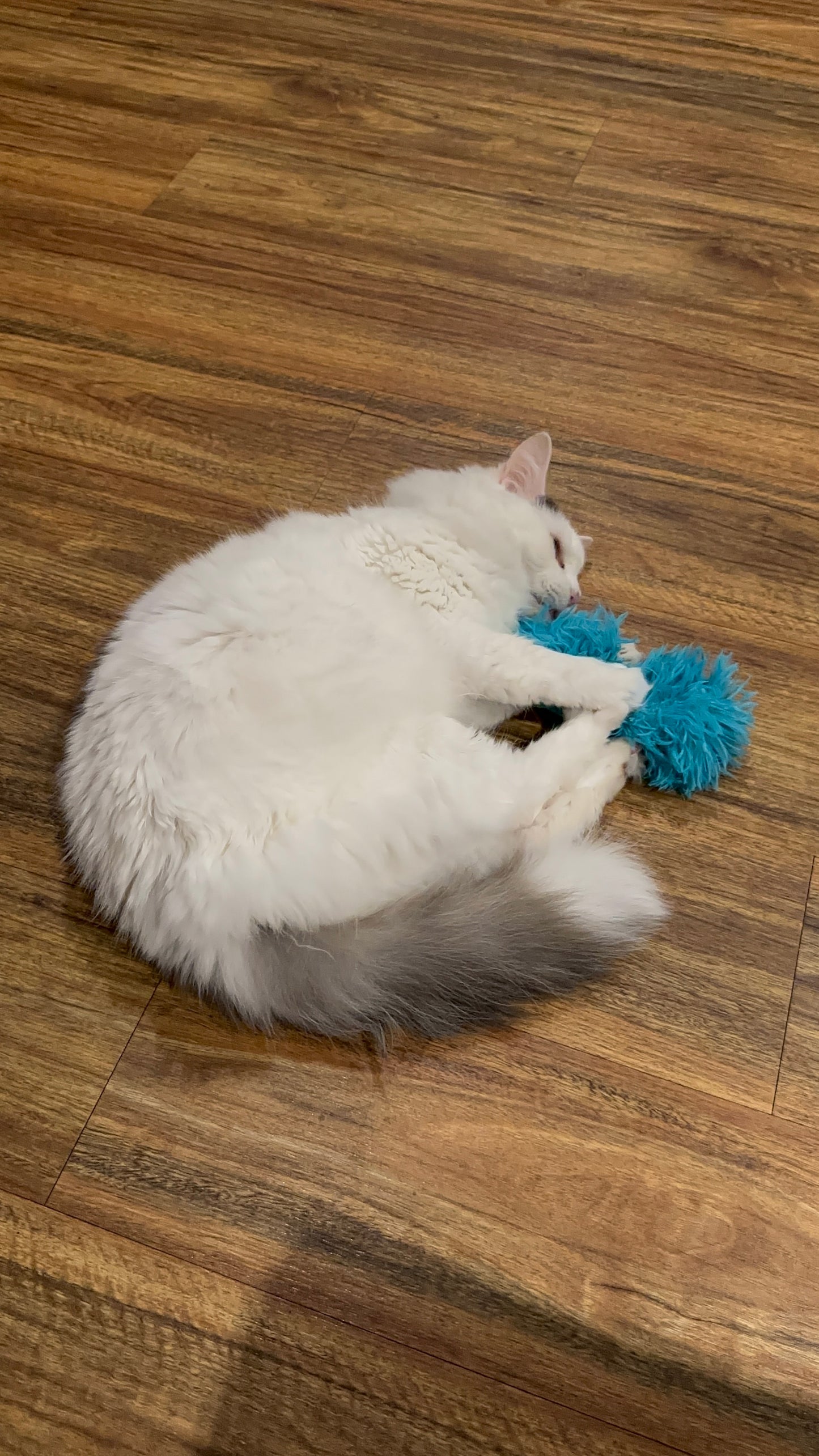 Fluffy Kitty Kicker