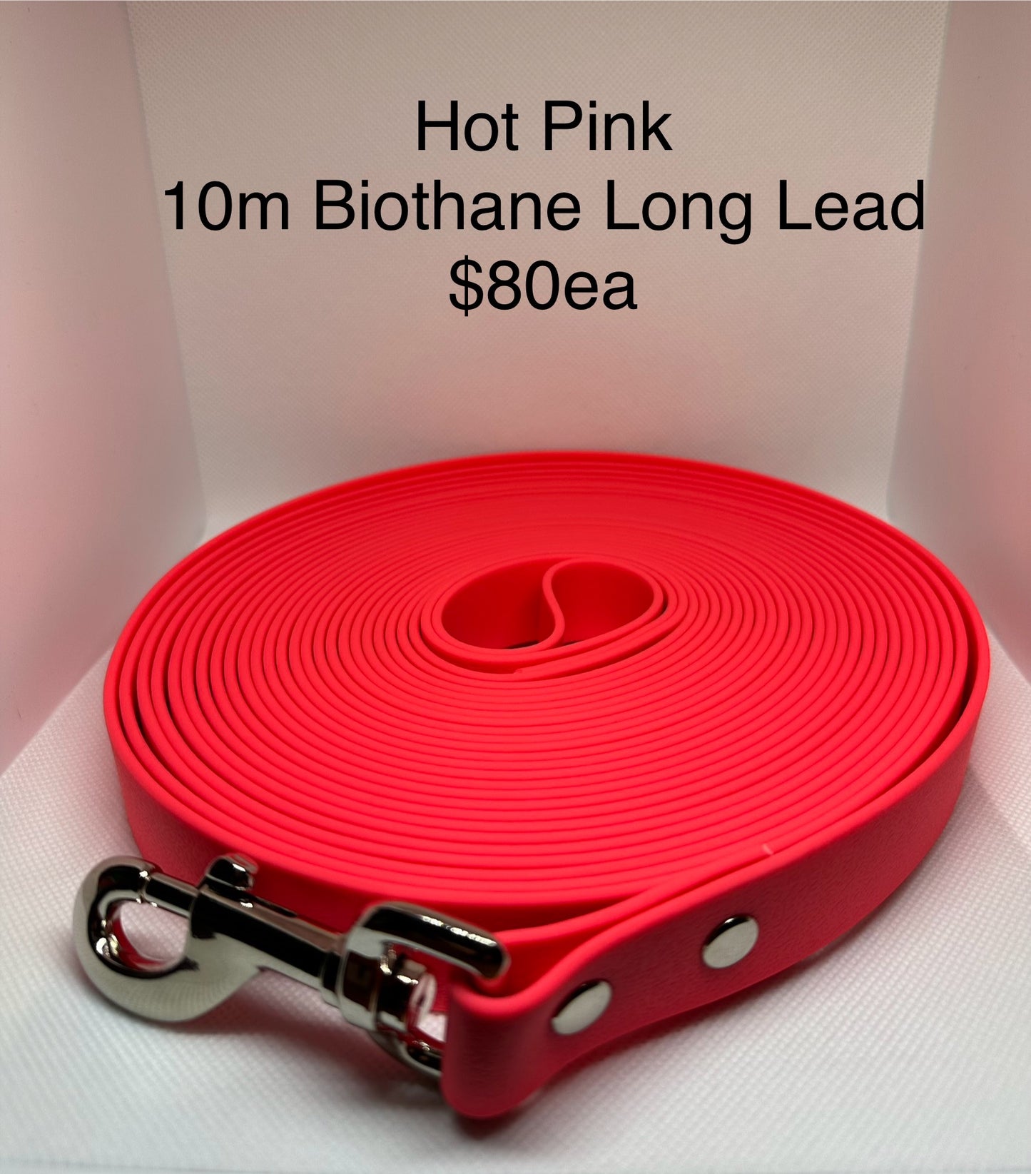 Biothane Long Lead: 10m