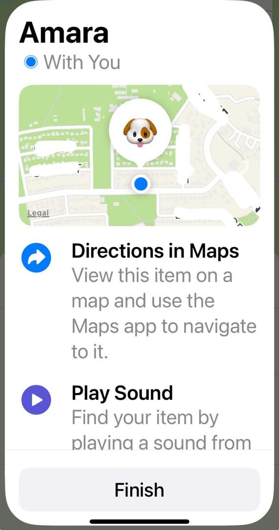 Pet GPS tag