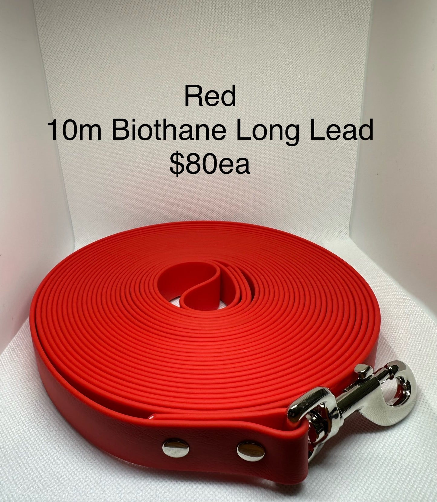 Biothane Long Lead: 10m