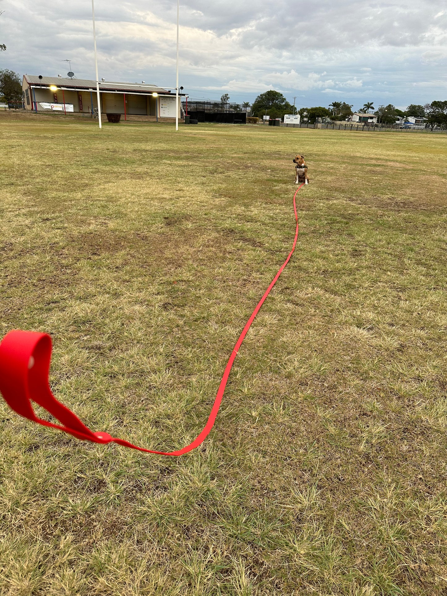 Biothane Long Lead: 10m