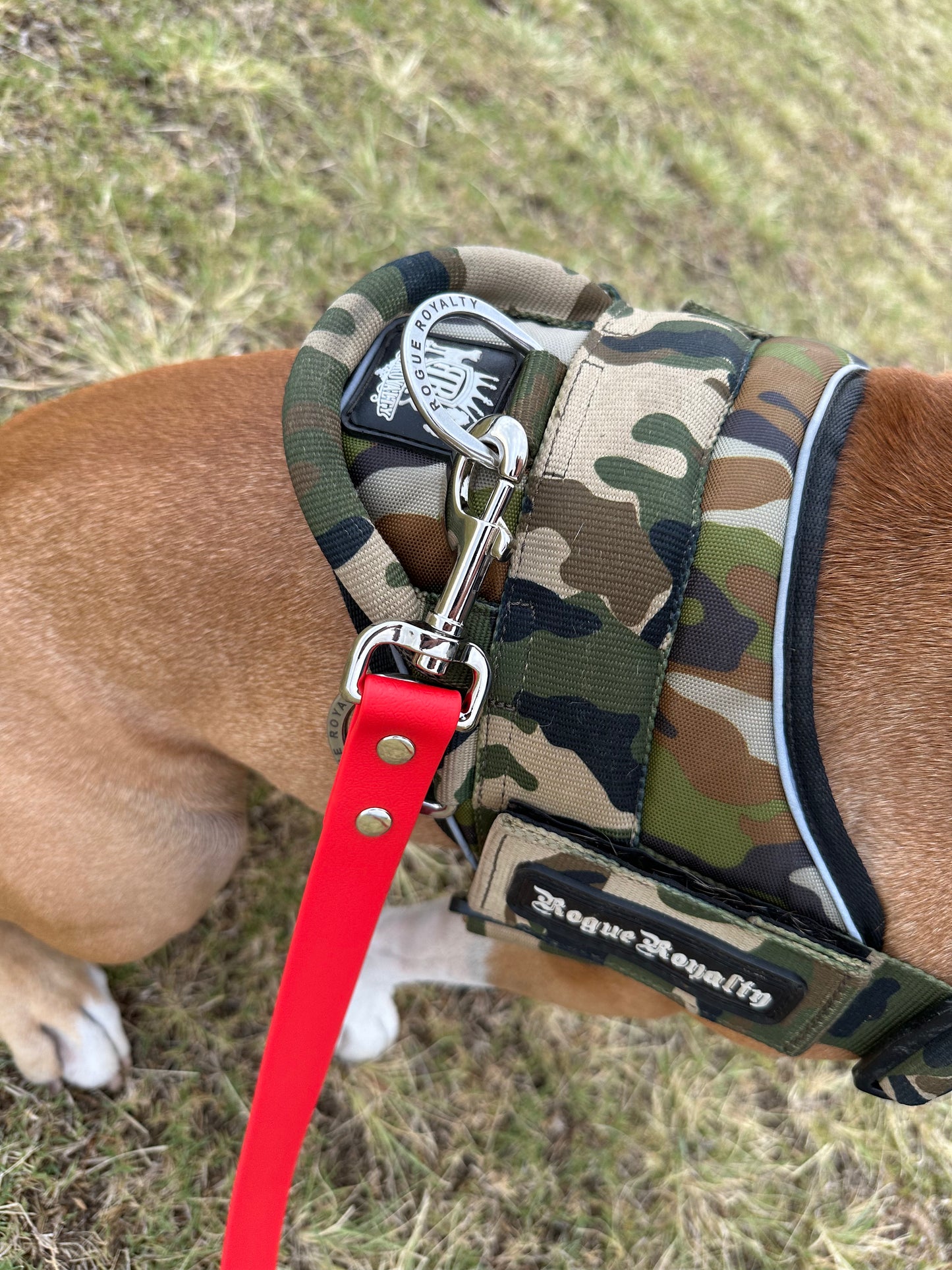 Biothane Long Lead: 10m