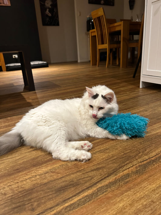 Fluffy Kitty Kicker