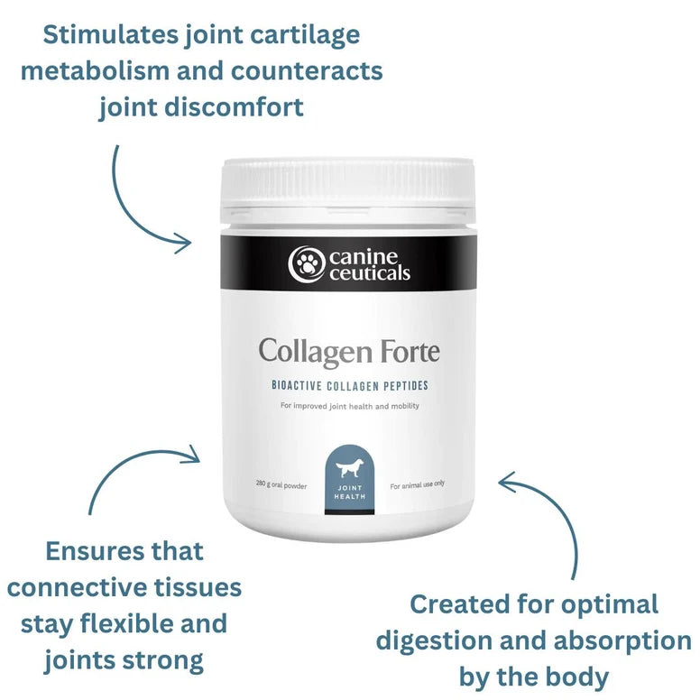 Canine Ceuticals: Collagen Forte 300g