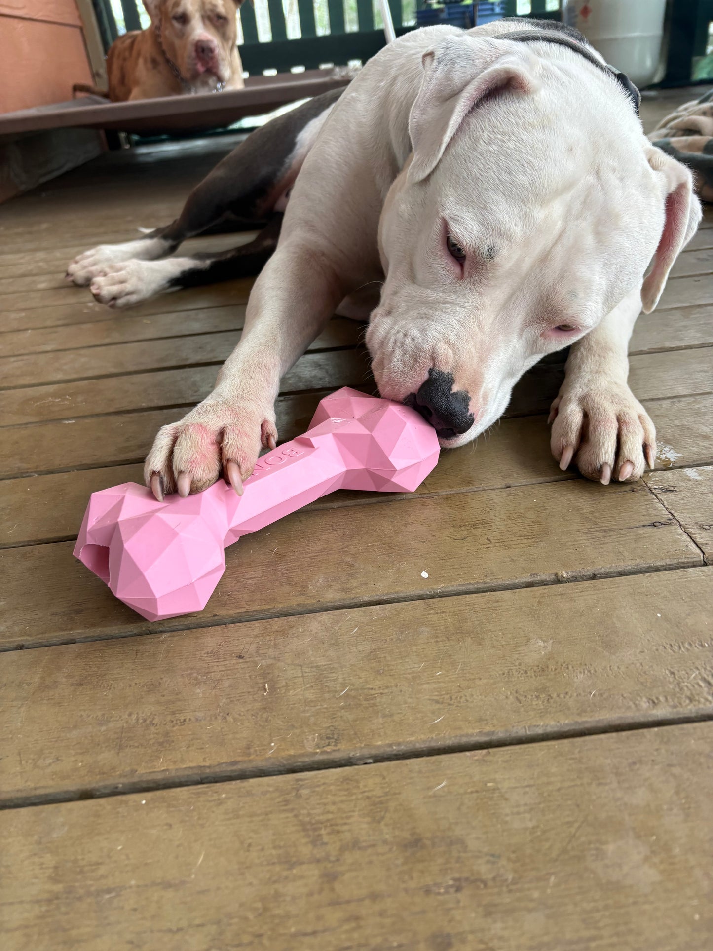 Heavy Duty Bones
