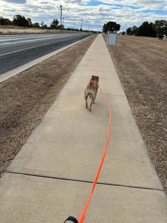 Thin long lead: 3m