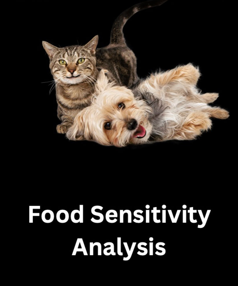 Pet Sensitivity and Intolerance Testing – MS Pet Services