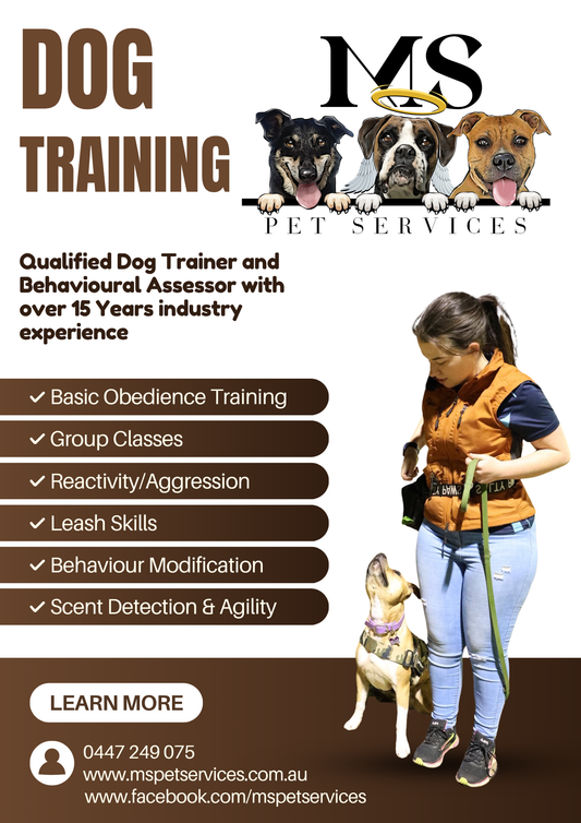 Emerald Dog Training Workshop: Multiple Choices
