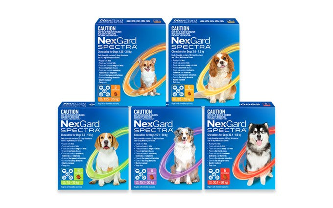 NexGard Spectra: Dogs (3-pack)