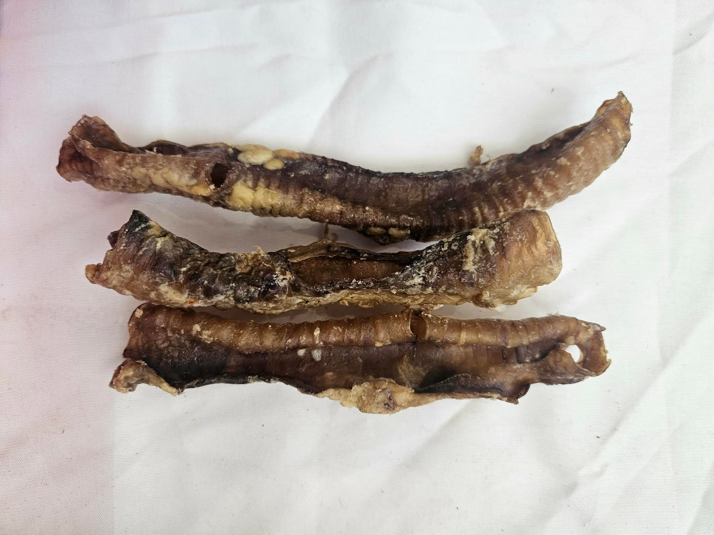 Lamb Trachea