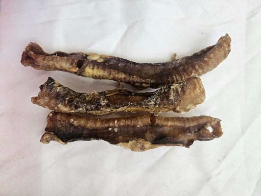 Lamb Trachea