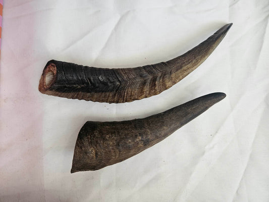 Goat Horns