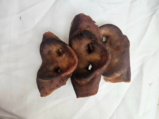 Pig Snout