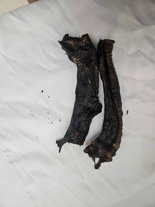 Roo Trachea
