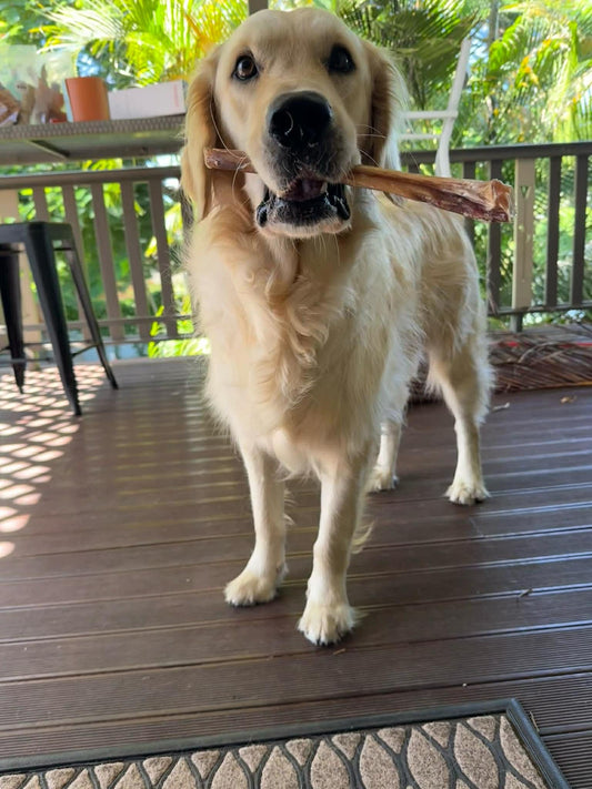 Bully Stick Range