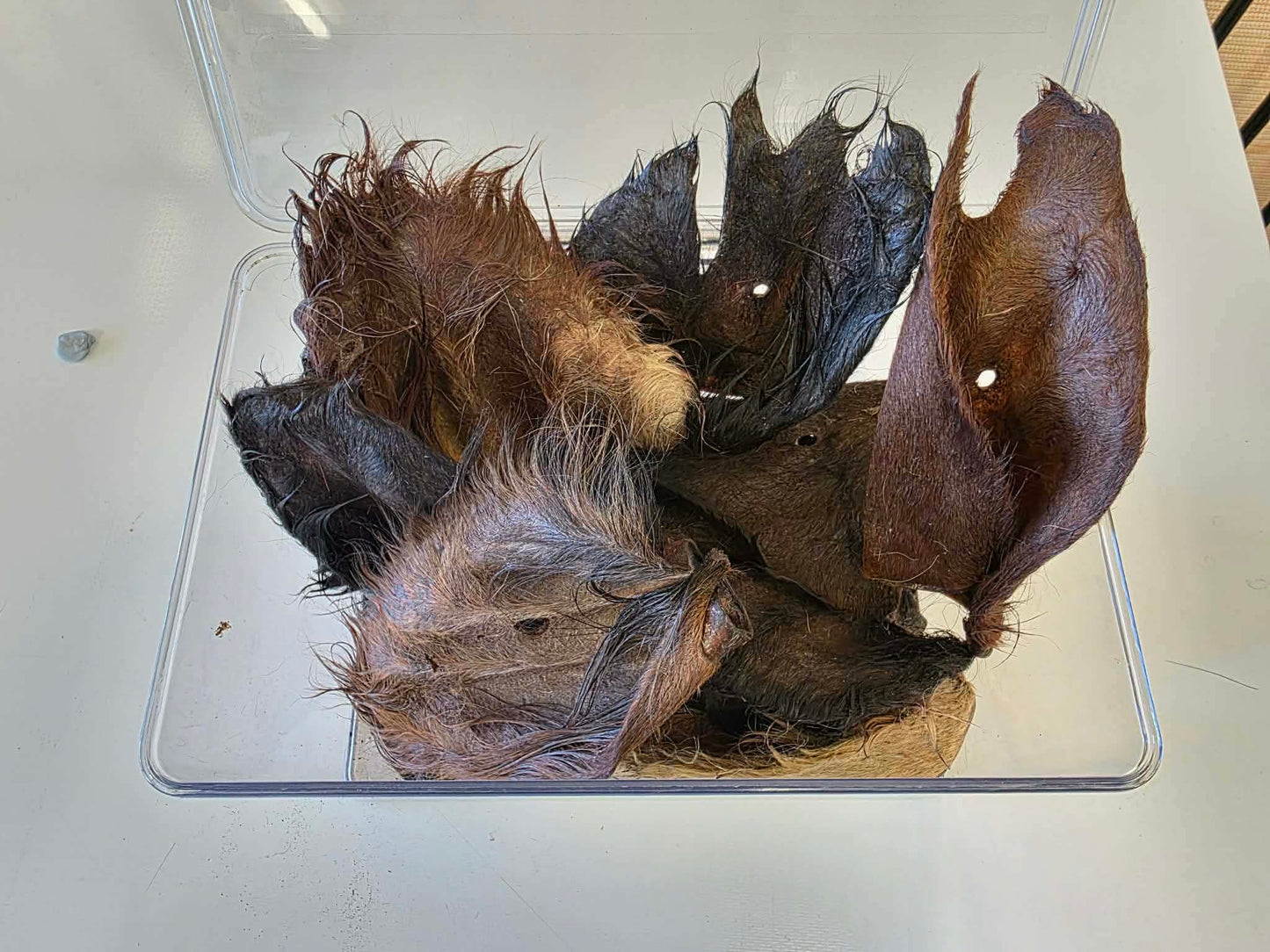 Hairy Beef Ears