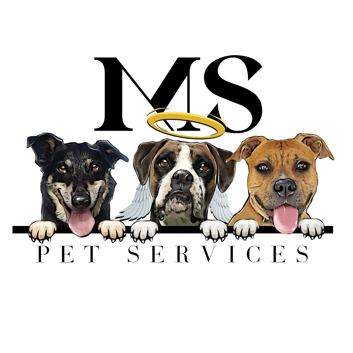 Emerald Dog Training Consultation